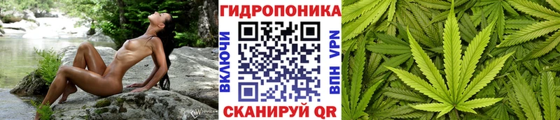 Где найти наркотики Краснодар Бошки Шишки  Кокаин  СОЛЬ  Бутират  Гашиш 