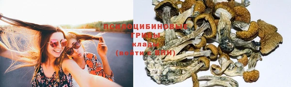 гашик Армянск