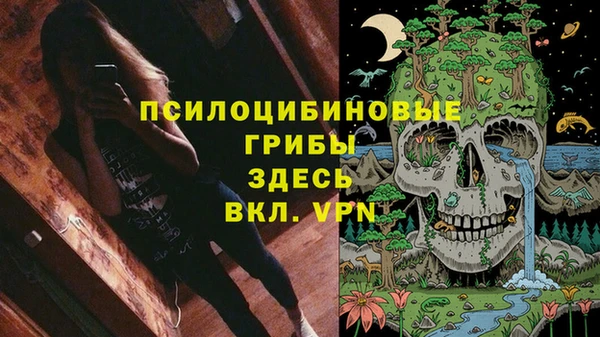 гашик Армянск
