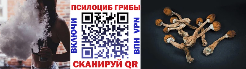 Псилоцибиновые грибы Psilocybe Краснодар